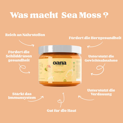 Seamoss -  Pure Ocean Power